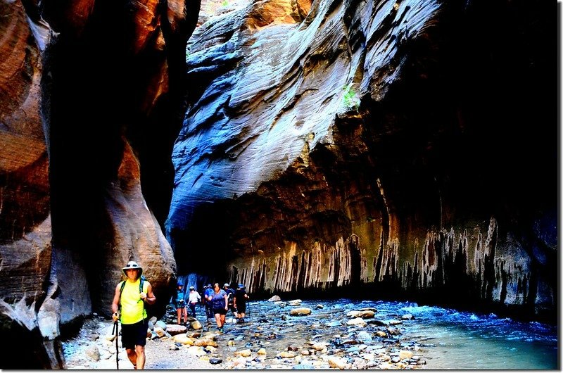 The Narrows, Zion National Park (30)