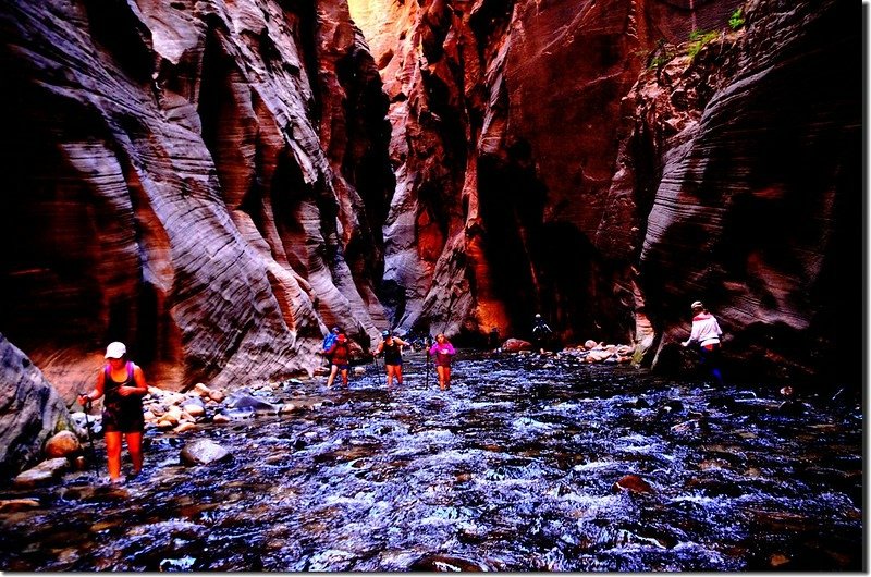 The Narrows, Zion National Park (42)