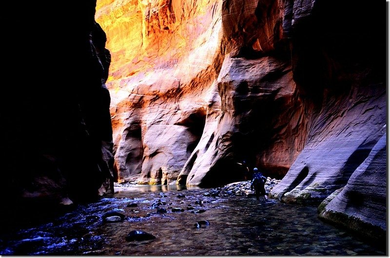 The Narrows, Zion National Park (44)