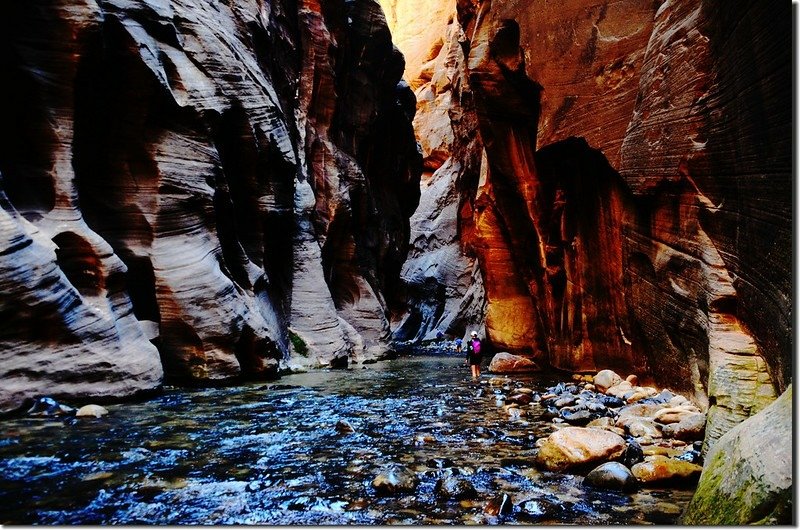 The Narrows, Zion National Park (47)