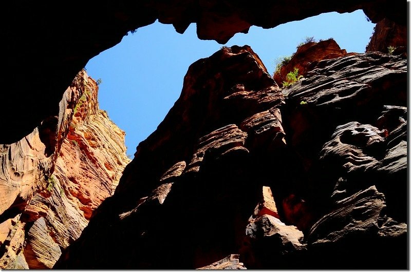 The Narrows, Zion National Park (46)