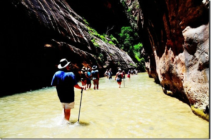 The Narrows, Zion National Park (60)