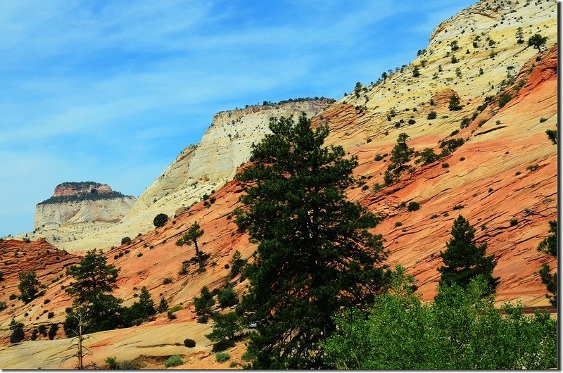 Scenic along Zion-Mt. Carmel Highway (2)