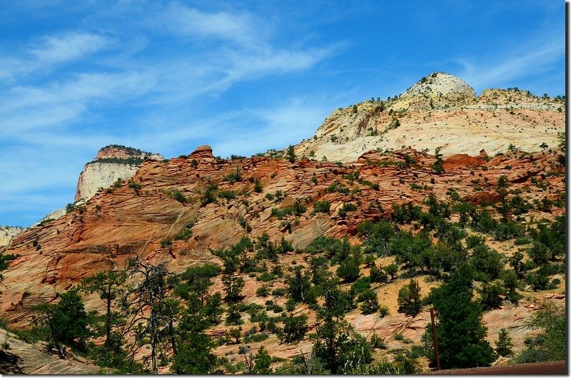 Scenic along Zion-Mt. Carmel Highway (5)