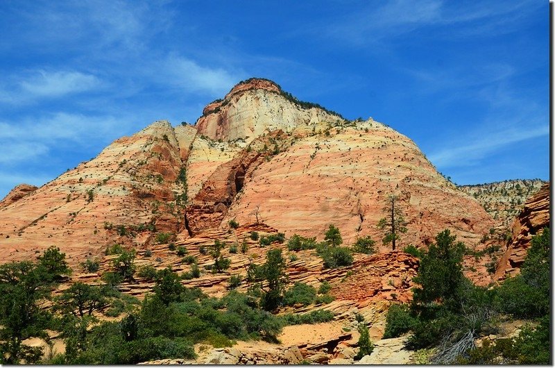 Scenic along Zion-Mt. Carmel Highway (6)