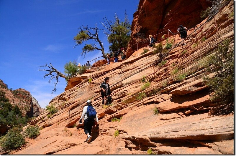 Canyon Overlook trail (2)