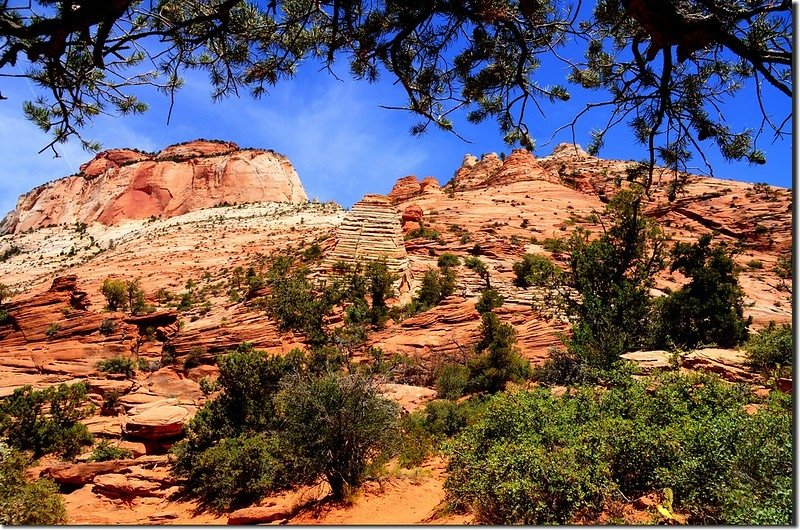 Beehive Rock above Canyon Overlook trail