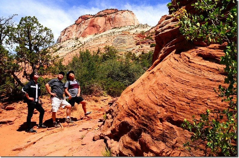 Canyon Overlook trail (4)