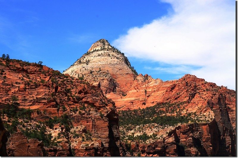 Looking west at Bridge Mountain from Canyon Overlook, Zion 2