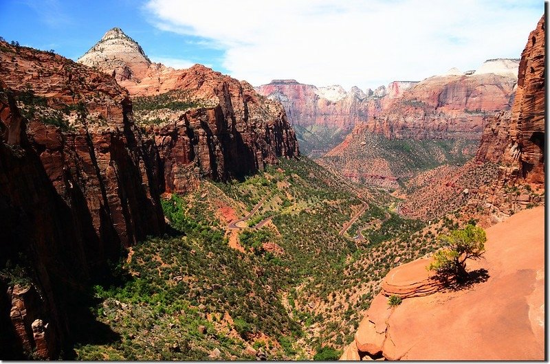 Looking down at Zion Canyon from Canyon Overlook, Zion (2)