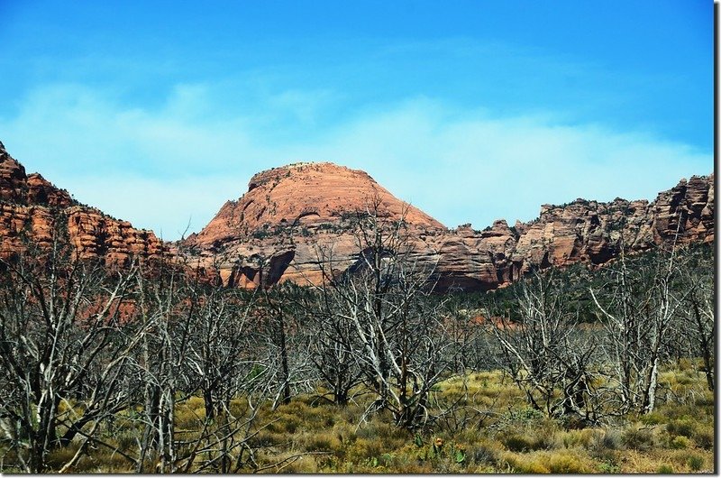 Scenic along Kolob Terrace Rd (1)