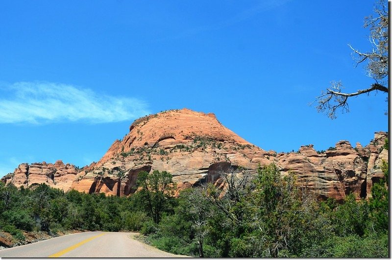 Scenic along Kolob Terrace Rd (3)