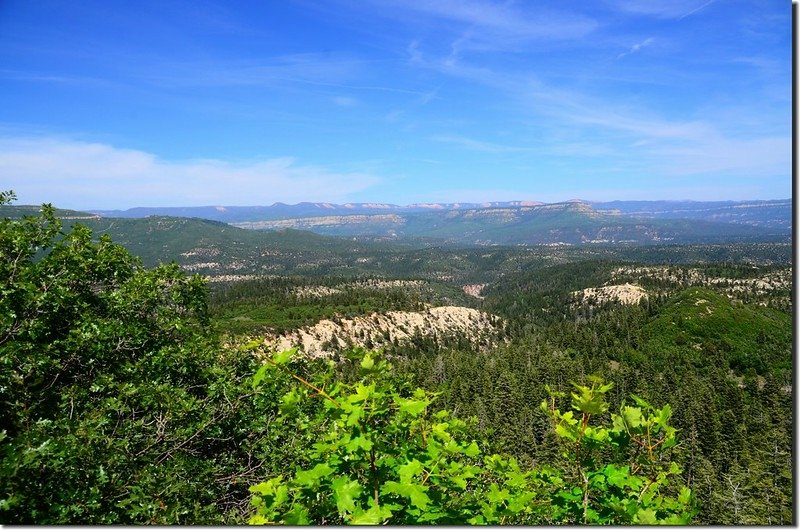 View to southeast from Lava Point Overlook