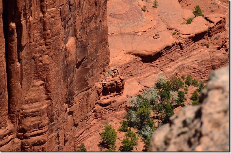 Spider Rock Ruin from Spider Rock Overlook 1