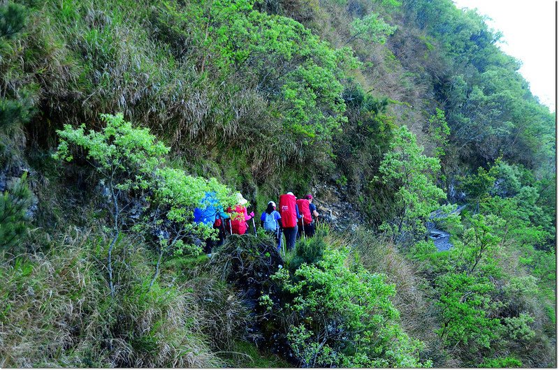 玉山登山步道 1