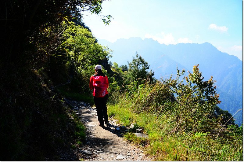 玉山登山步道 2