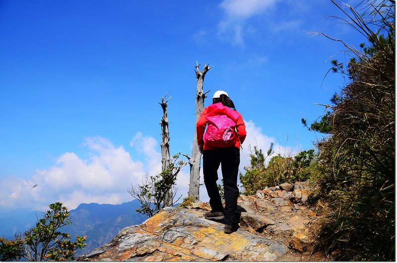 玉山前峰步道 2