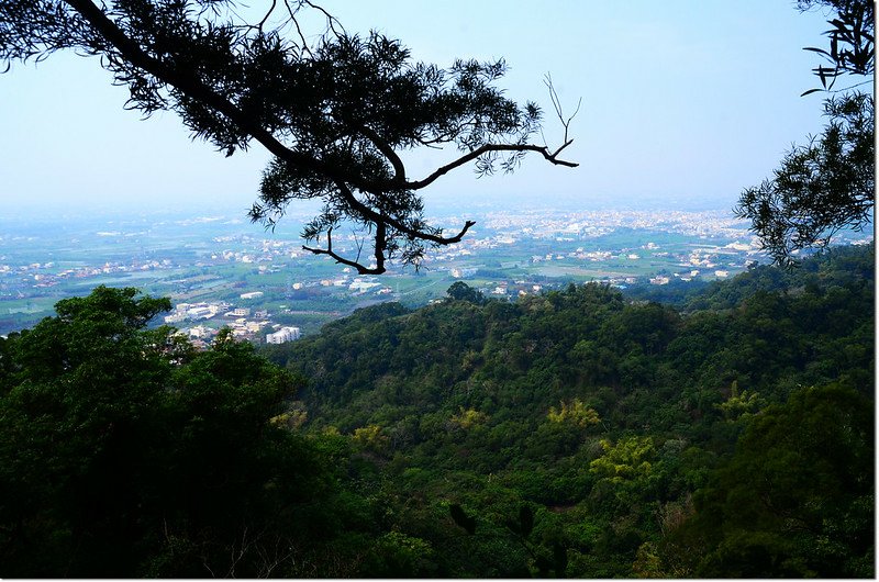 大棚山山頂展望