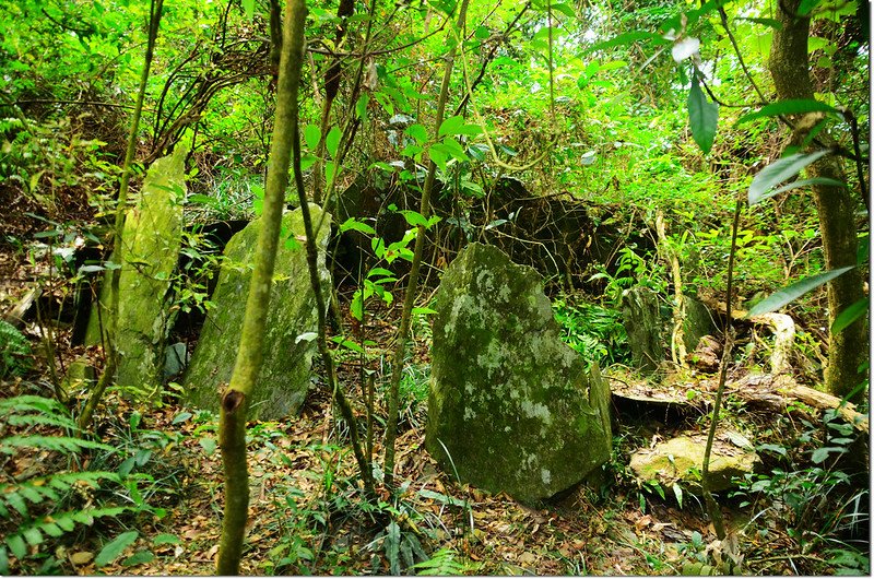 吐蛇流西北峰途中石板屋遺址 5