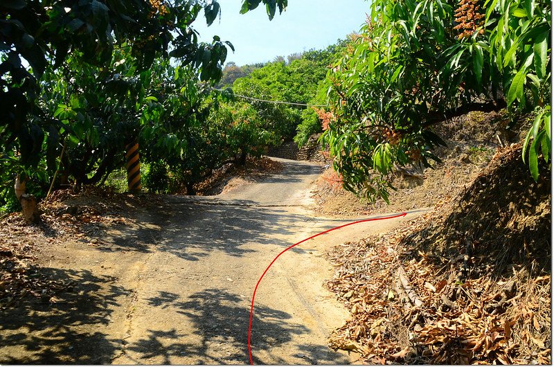 北坑仔內登山路徑岔