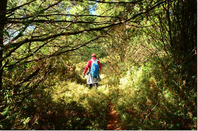 石水山登山路徑 1