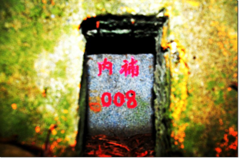 美崙山一等三角補點(Elev. 110 m) 1