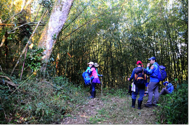 幾阿佐名產道終點山徑入口