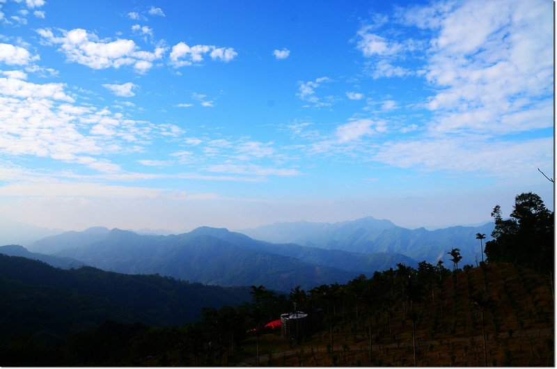 卓武咖啡農場西南眺群山 3