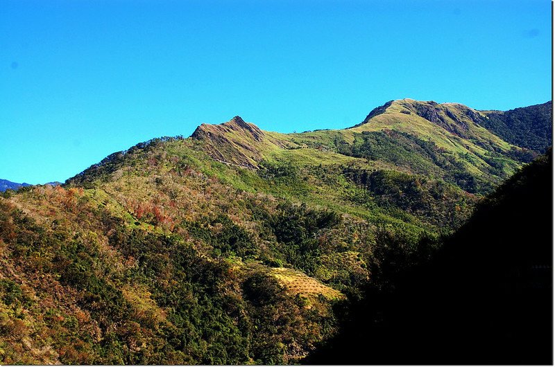 台20線仰望馬馬宇頓山（右） 1