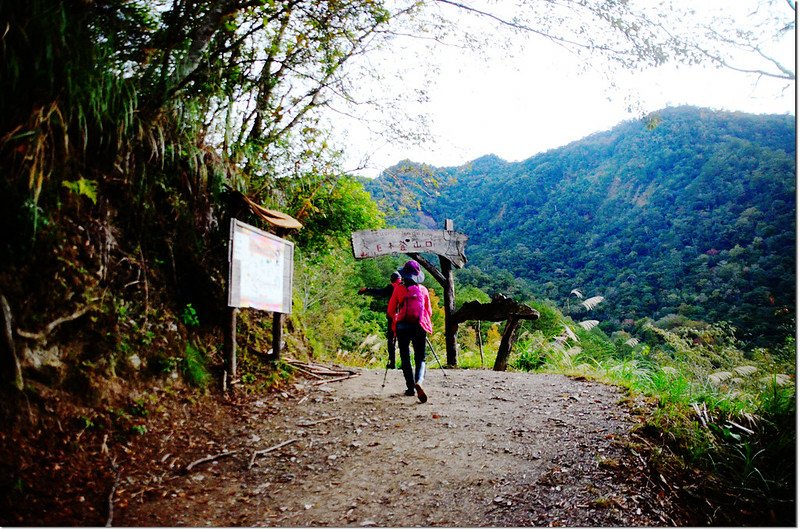 司馬庫斯巨木登山口