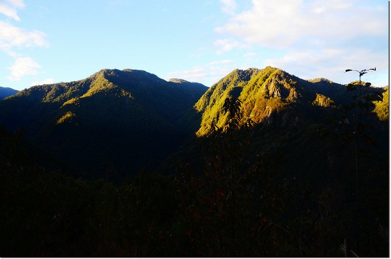 巨木區步道山景 1