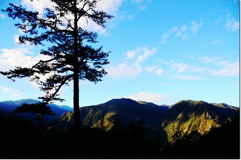 巨木區步道山景 2