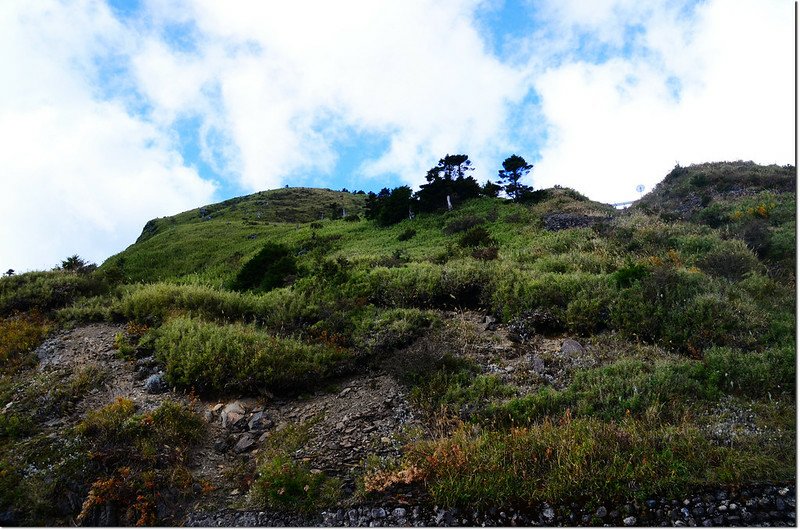 昆陽休息站望合歡山南峰