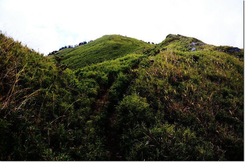 合歡山南峰登山步道