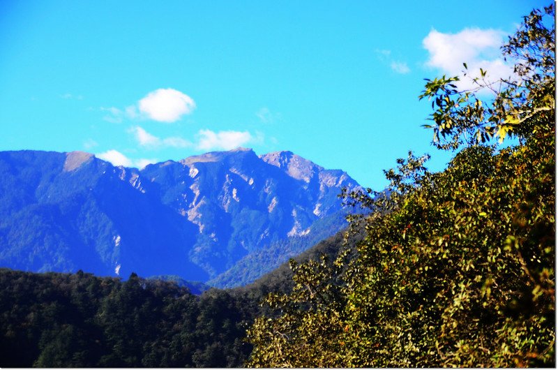 焦土山展望點西南眺奇萊主山北峰