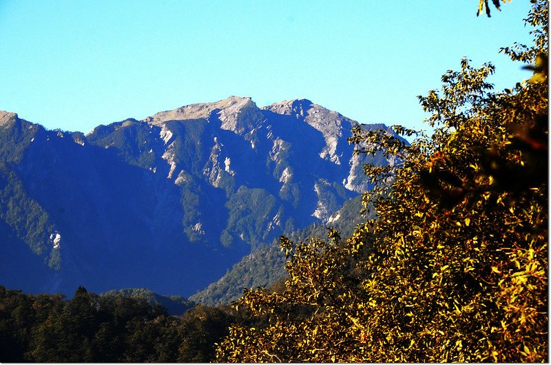 焦土山登山途中西南眺奇萊主山北峰