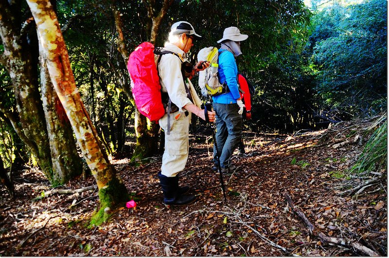 卡拉報山南稜岔路