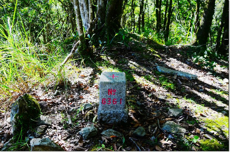 拳背山三等三角點（#6361Elev. 1367 m) 1