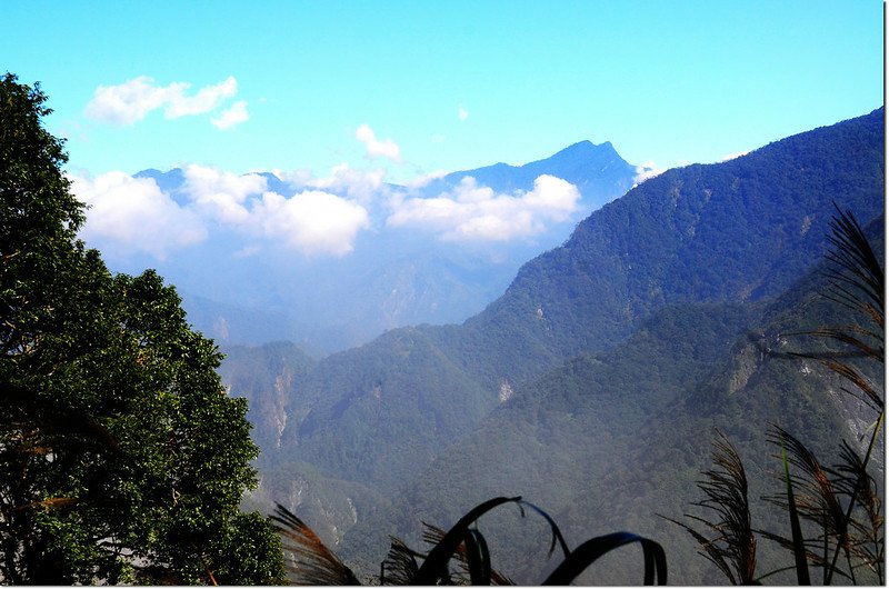 拳背山東北眺三角錐山