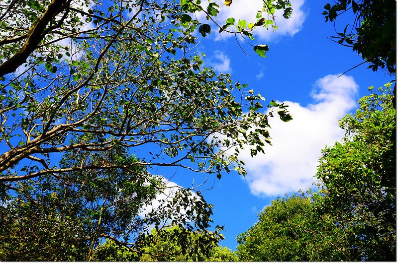 蔚藍的天空