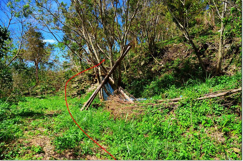 北德文山山頂咖啡園