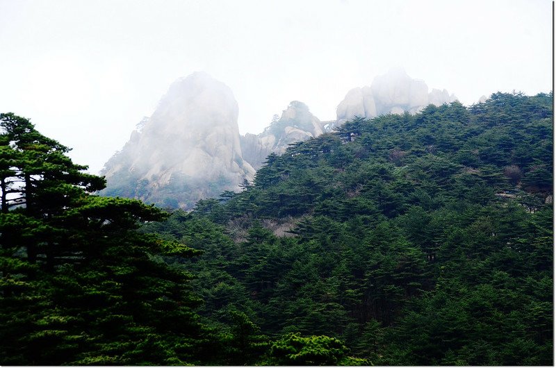 西海大峽谷景觀 (21)