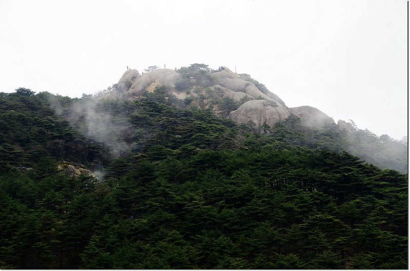 白雲賓館山景 (5)