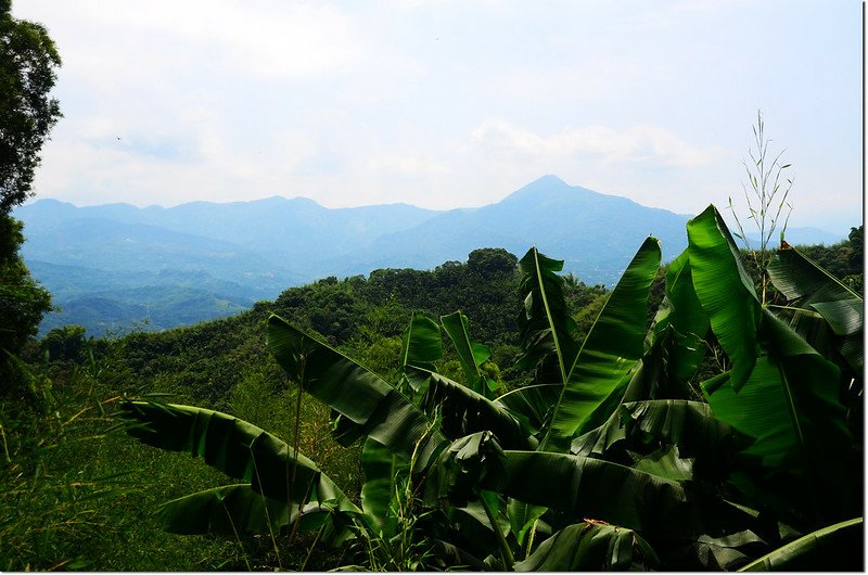 萬斗山山頂東南眺集集大山 1