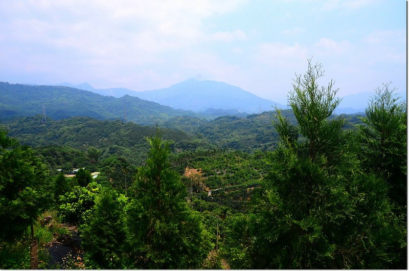 南大龜坑山東南眺集集大山