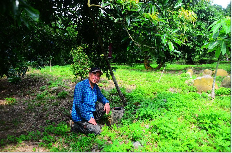 平林橋南總督府土木局基點