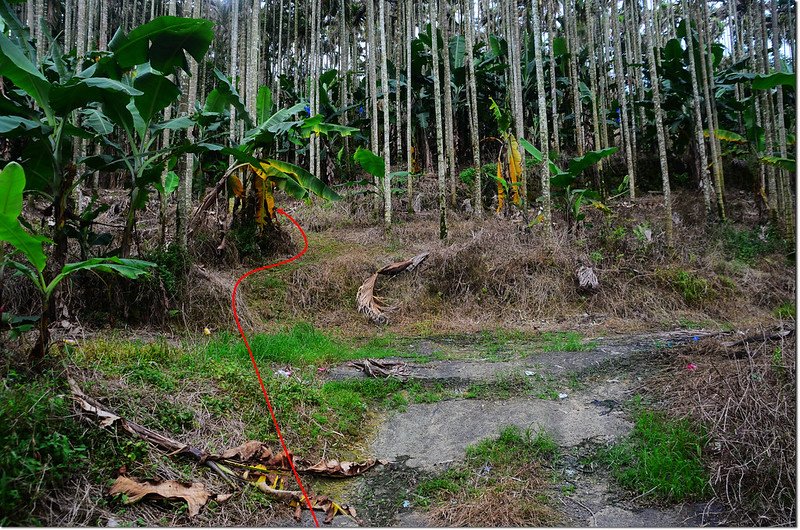 食水巷登山步道