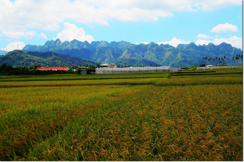 南埔山附近東眺九九峰 2