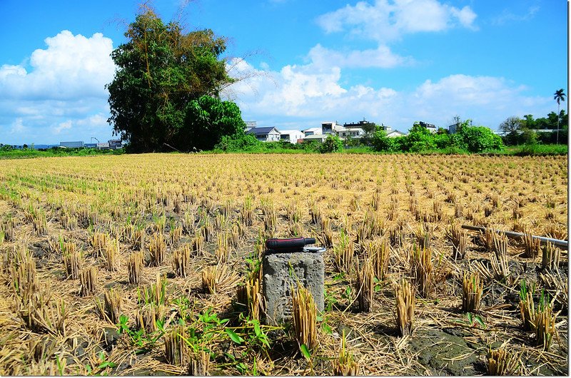 番子田總督府土木局基點(# 8-30 Elev. 78 m) 2