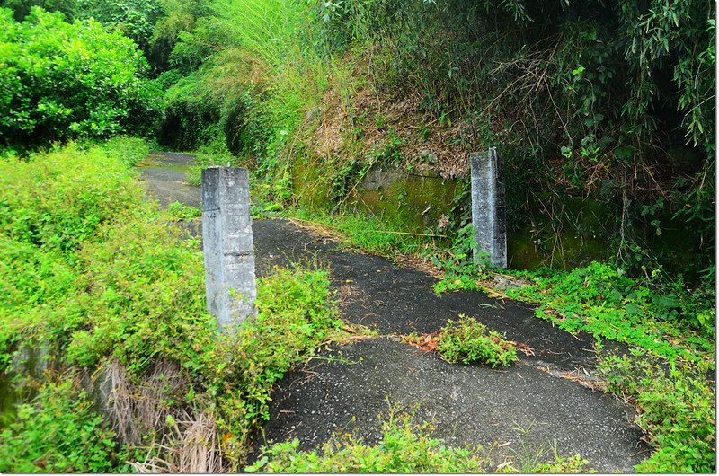 濁水山登山口